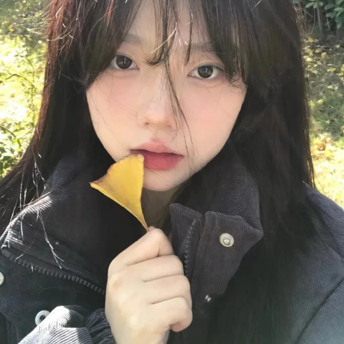 一切的解释